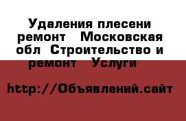 Удаления плесени ремонт - Московская обл. Строительство и ремонт » Услуги   